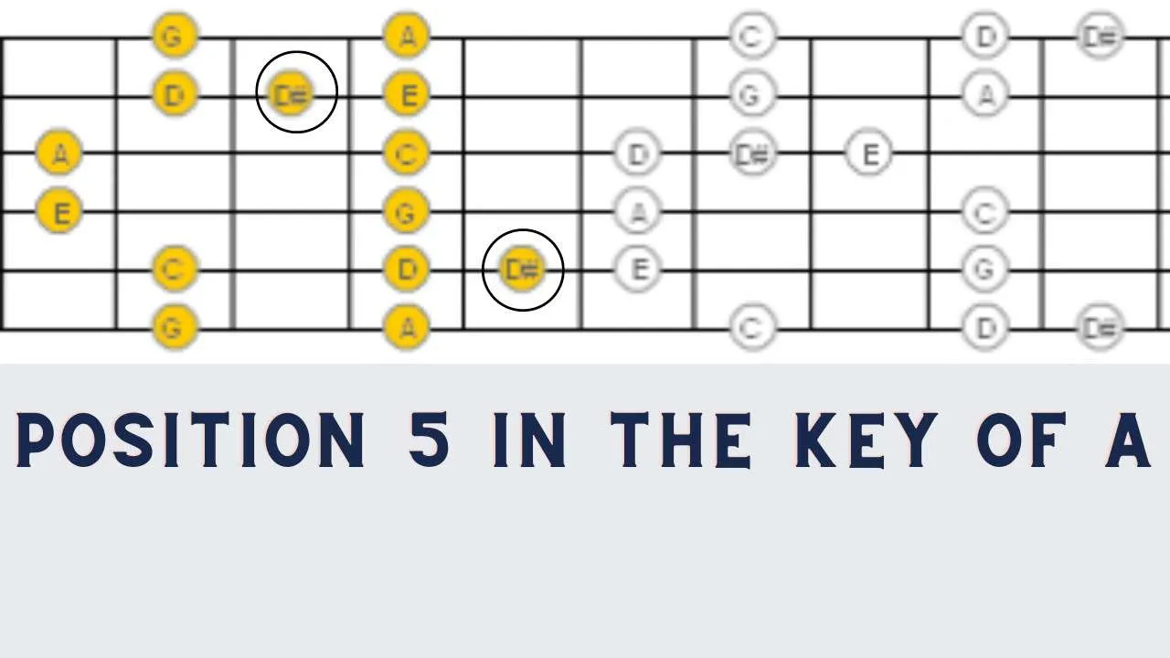 The Blues Pentatonic Scale - A Guitarist’s Best Friend