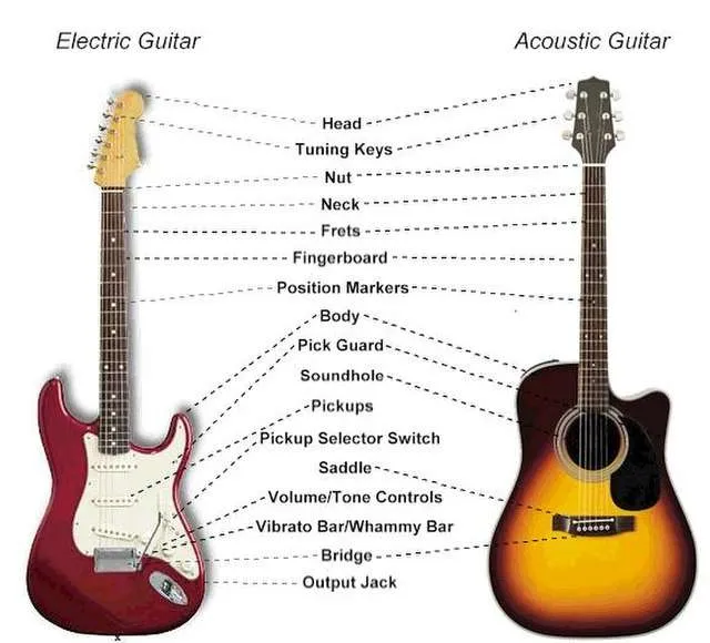Anatomy of a guitar